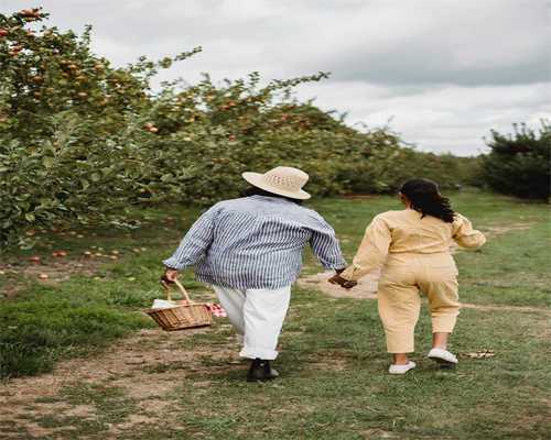 代生孩子流程:松露珍贵的原因,孕妇能吃松露吗